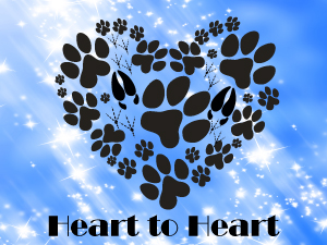 Thumbnail Image 1